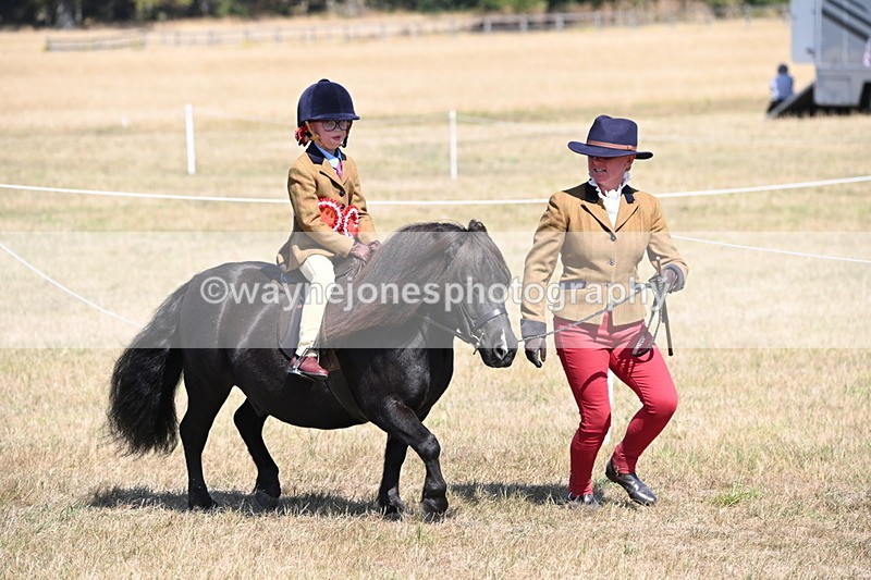 WJ6_9140 - Championship Classes 33-38