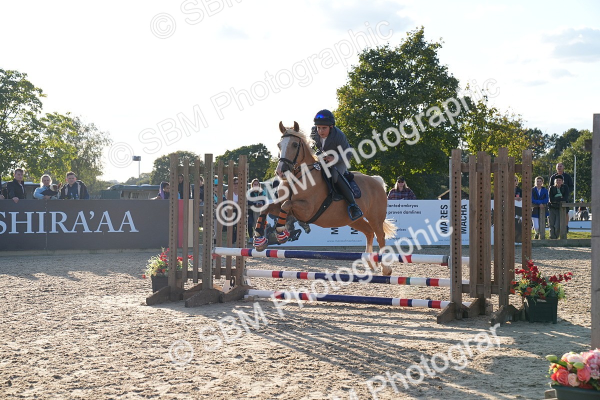 SBM_30009 - J44 - Super Speedy Scurry Open - 70cm