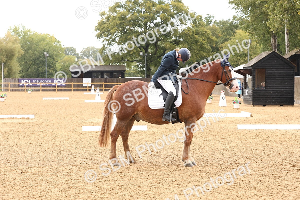 SBM_40633 - D6 - Small Tour Championship Intro 4