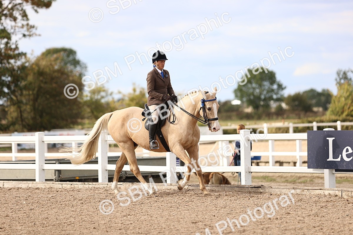 SBM_18174 - Class 423 - Equitation (best rider) Adult