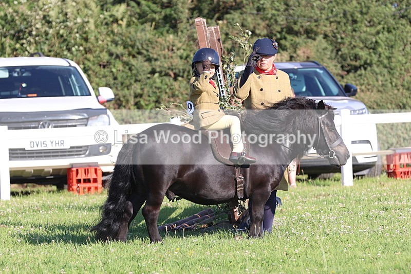 JPP_0818 - Class 16: Cornish Combination Leading Rein