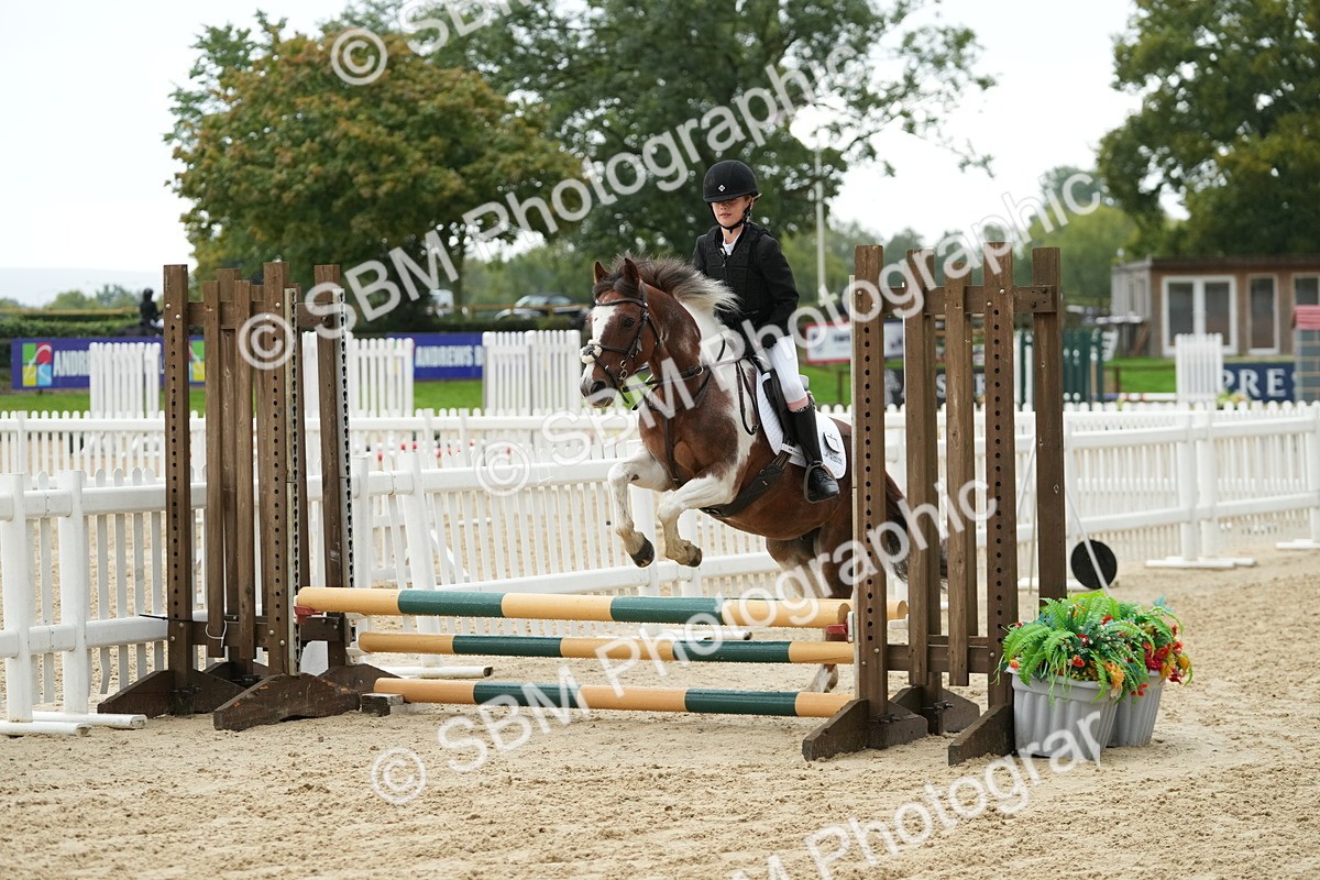 SBM_33459 - J5 - Junior Pony 50cm Championship