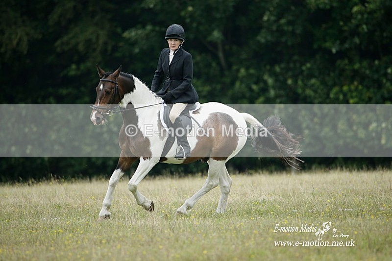BVRC 030721 501 - Bourne Valley Riding Club Dressage 03/07/21