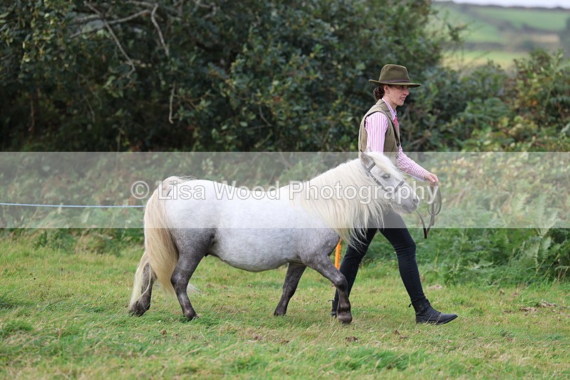 3E7A4047 - Class 15: Two Year Olds