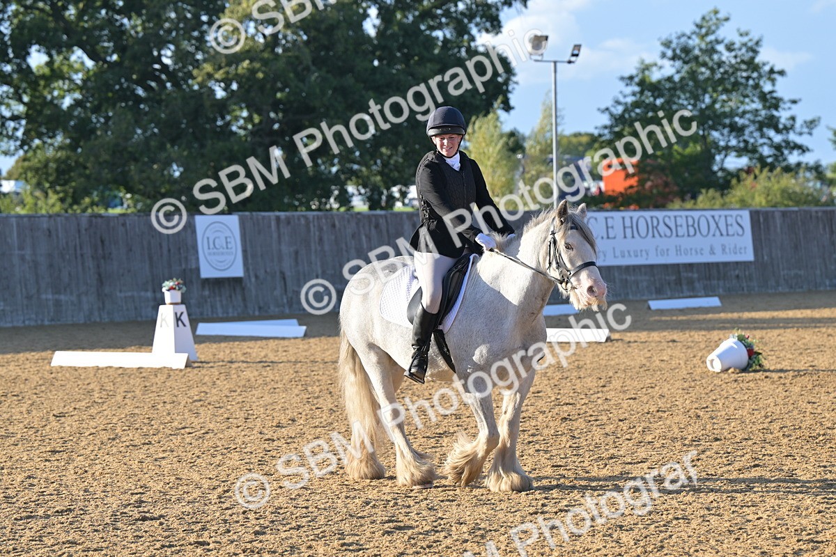 SBM_13128 - D3 - Small Tour Championship Intro 3