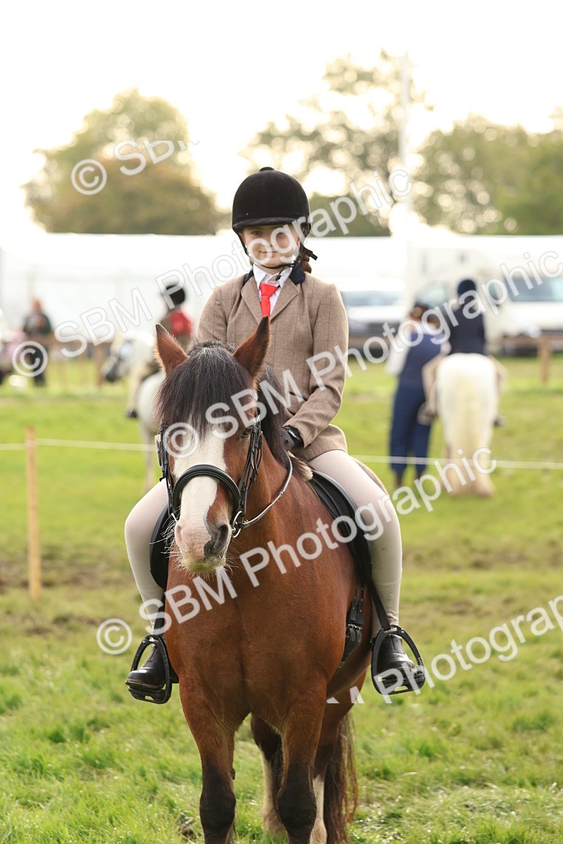 SBM_56656 - S40 - Starters Ridden Showing