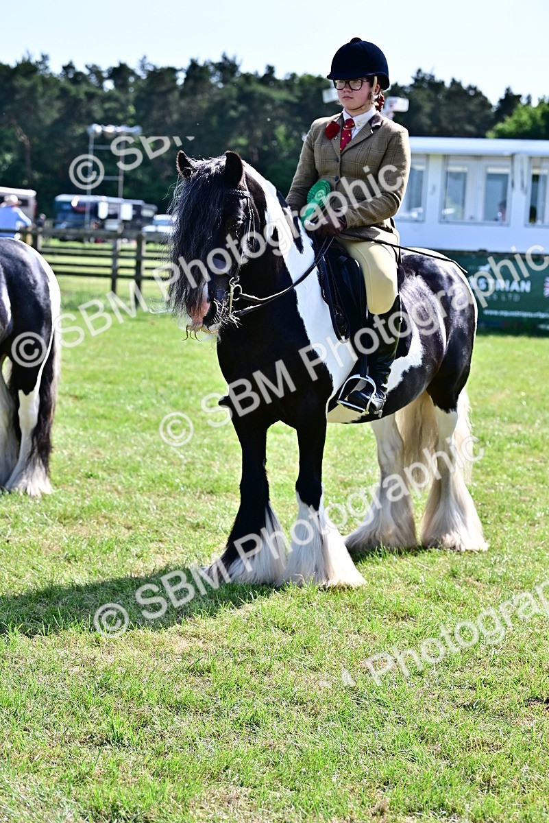 SBM_09435 - Class 63-65 - Traditional Gypsy Cobs In Hand & Ridden