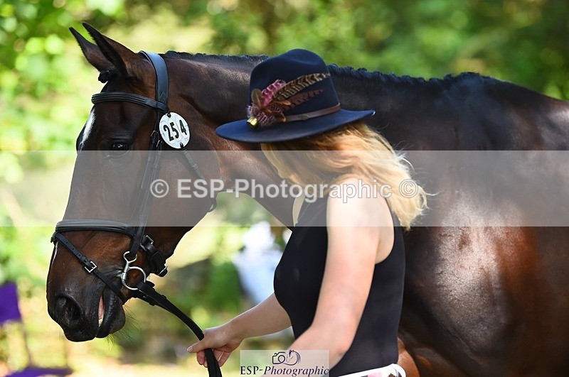 230524-161130-00749 - 254-PURE_TRENDSETTER-Ellie_Fredericks-WEDTrotUp+DR