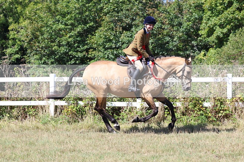 3E7A6494 - Working Hunter Championship