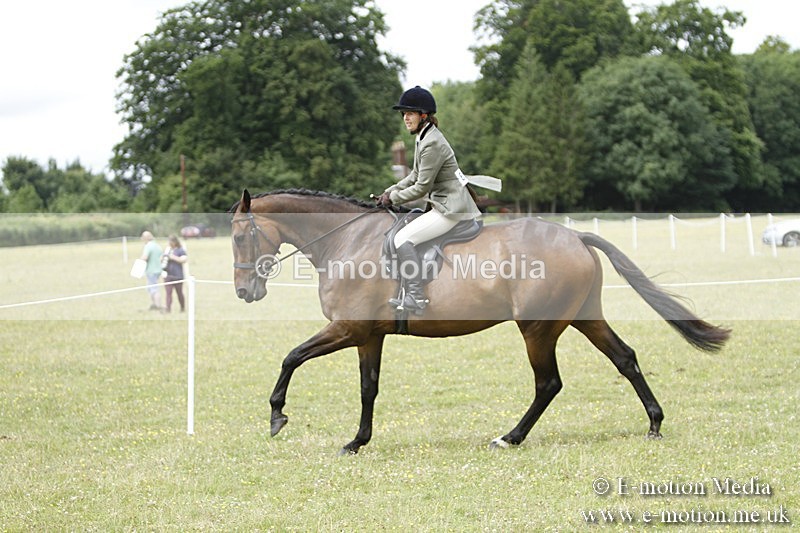 BVR160717-1801 - Ring 3 BVRC Show 16/07/17