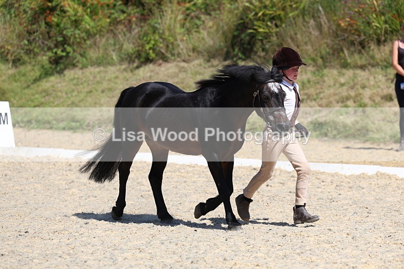 3E7A9648 - Class 32: Best Grass Kept