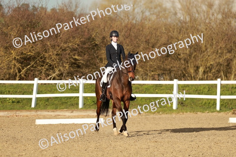 20260314-6349 - CT7 - Elementary 2