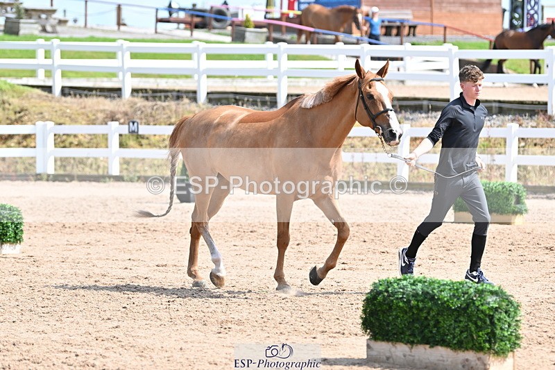 240717A-153700-02915 - Trot Up 3pm to 4pm