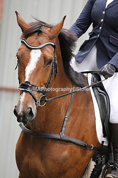 SIAL5067 - CAbin Dressage 5th july 2025