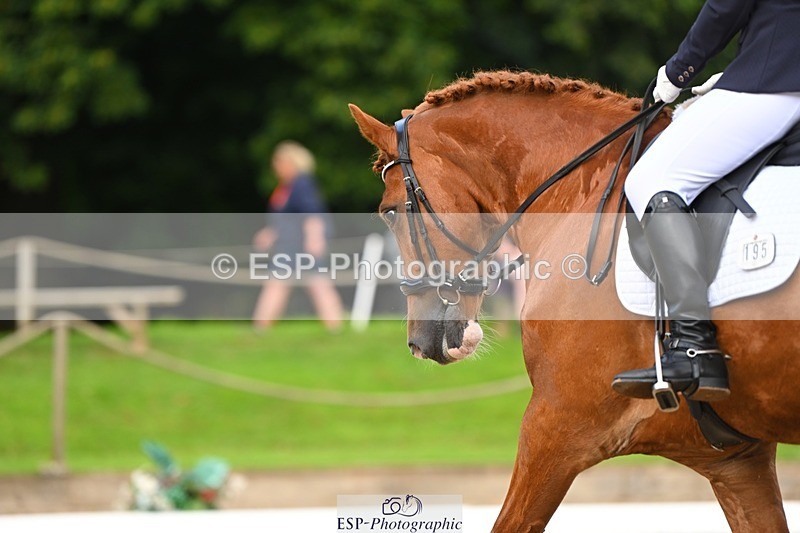 230813-094853-05968 - Cls 12 Elem Silver Start to 10.10 break