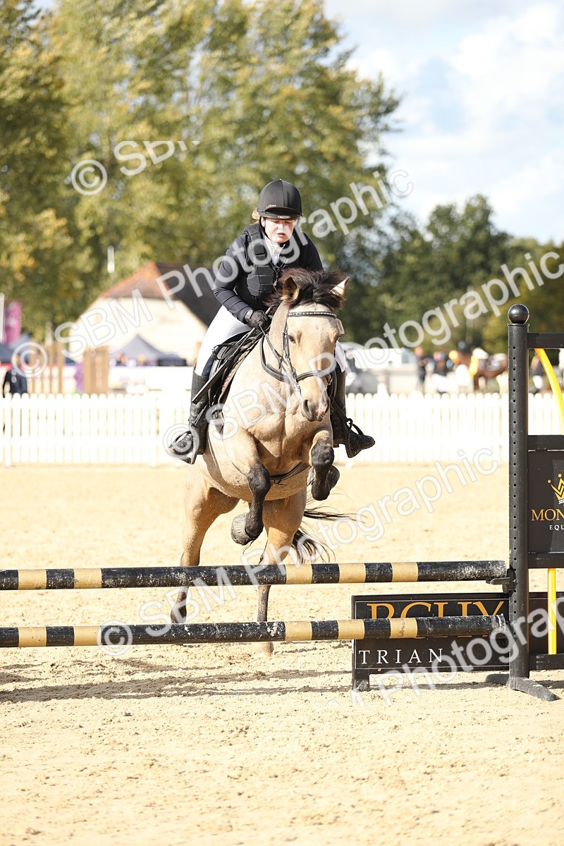 SBM_49538 - J22 - Junior Horse 65cm Championship