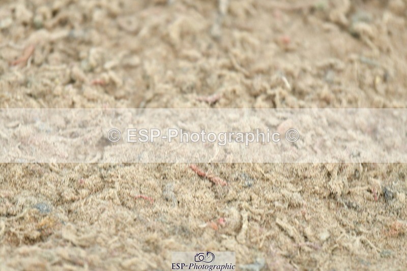 230721A-142920-06932 - Cls 22, 1 Star Gold 1.30m