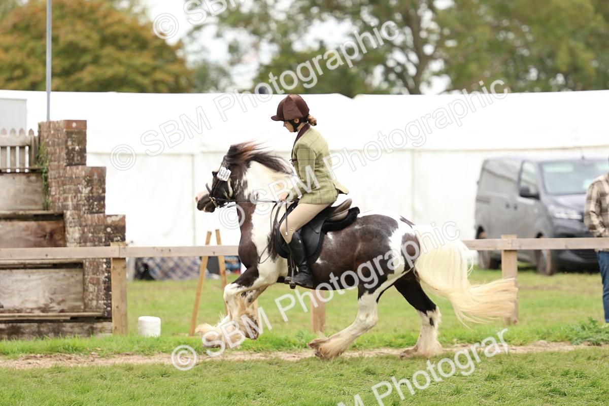 SBM_64543 - S58 - Coloured Pony Ridden