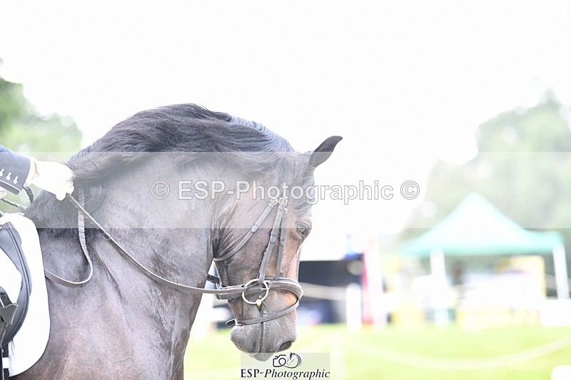 230812-105354-03496 - Cls 6 Novice Silver 10.30 to 11.55 break