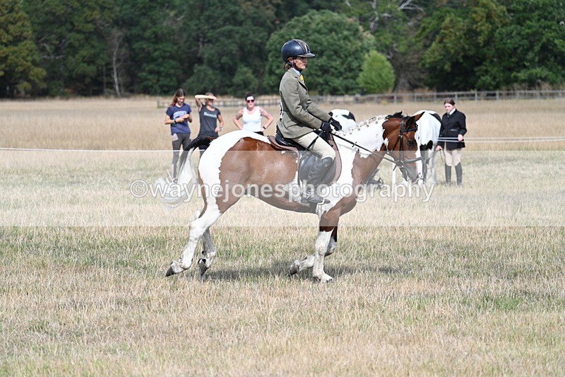 WJ7_7029 - Class 14 Ridden Coloured