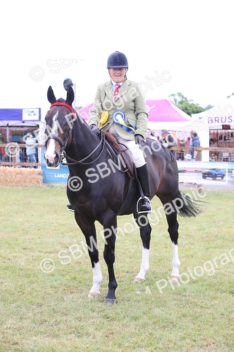 SBM_11471 - Class 94 - LIHS BSHA Racehorse to Showhorse