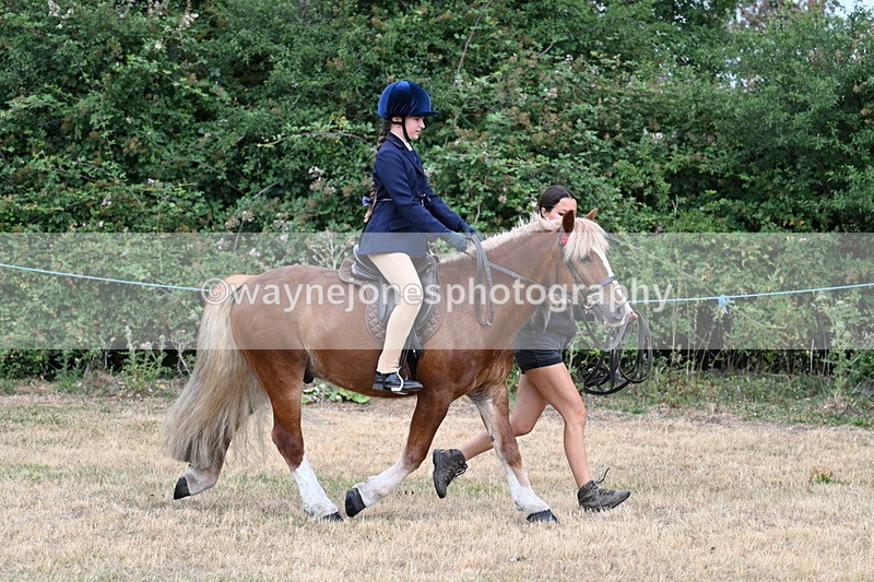 WJ7_0250 - Class 2 Best rider