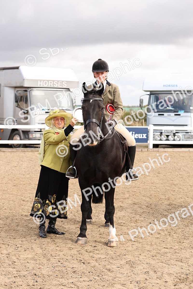 SBM_04311 - Class 54 - Riding Club Horse/Pony