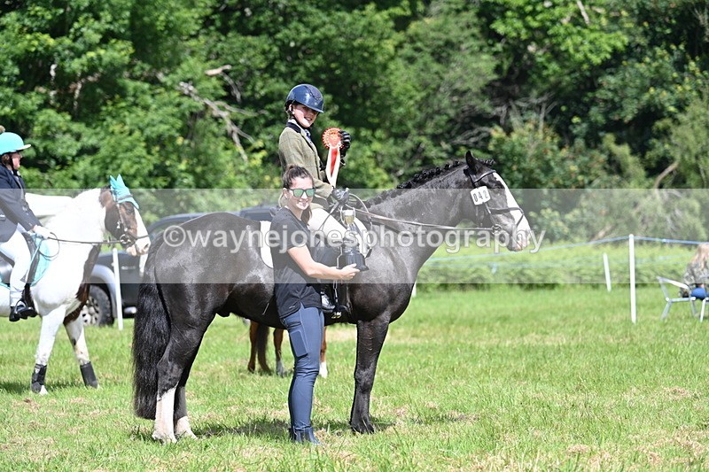 WJ7_1774 - Class 9 Pony Club Pony