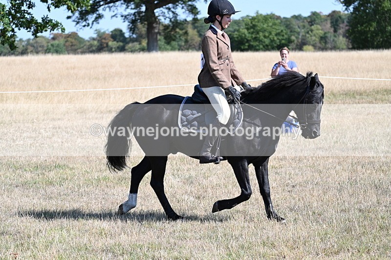 WJ7_3810 - Class 9 Mountain & Moorland Ridden