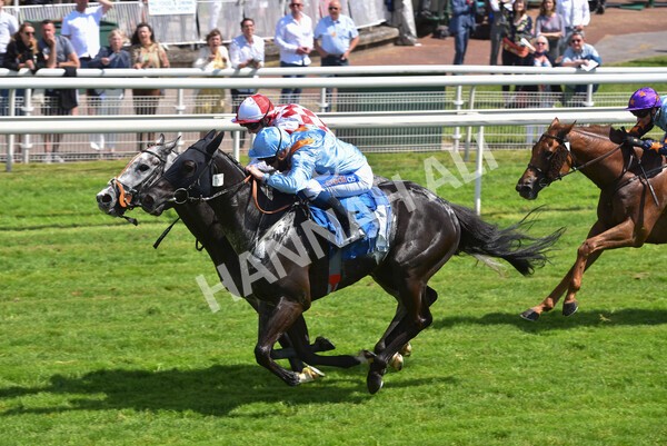 yr11062021r2-54 - Race 2 2.20pm Churchill Tyres Stakes