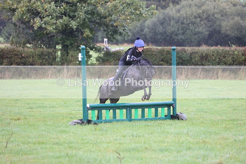 JPP_5157 - Class 1: 65cm : Showjumping