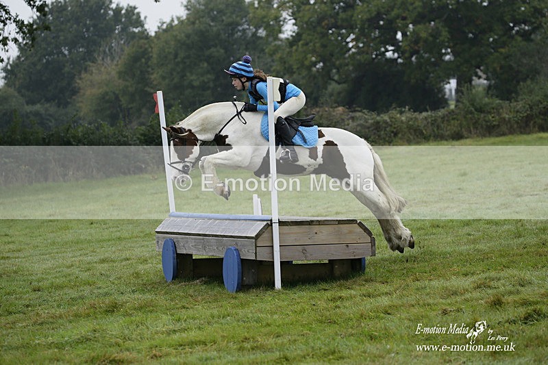 WWHT 171021 0136 - Novice Restricted (0.80m)  17/10/21