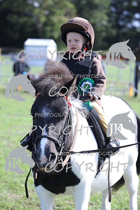 APP_3944 - Class 13 Lead rein