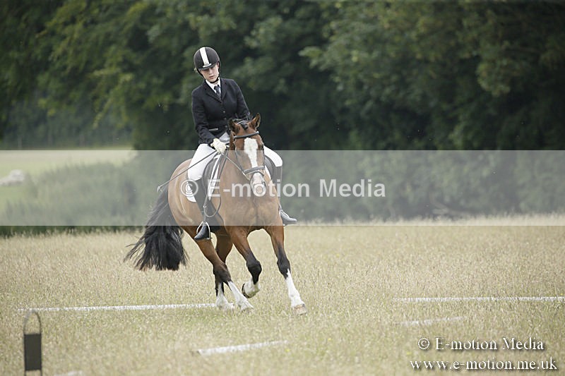 B230619-0669 - Bourne Valley Riding Club Summer Show 23/06/19