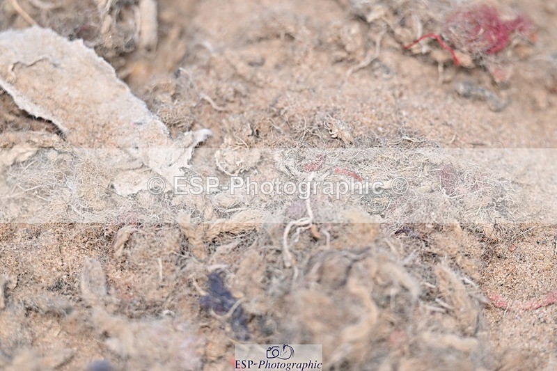 250621-132820-08673 - Cls 29 - Elementary 5, Start to 14.10