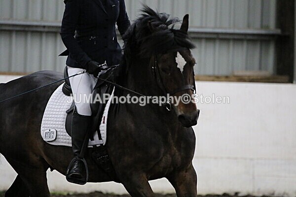 SIAL3870 - CAbin Dressage 5th july 2025