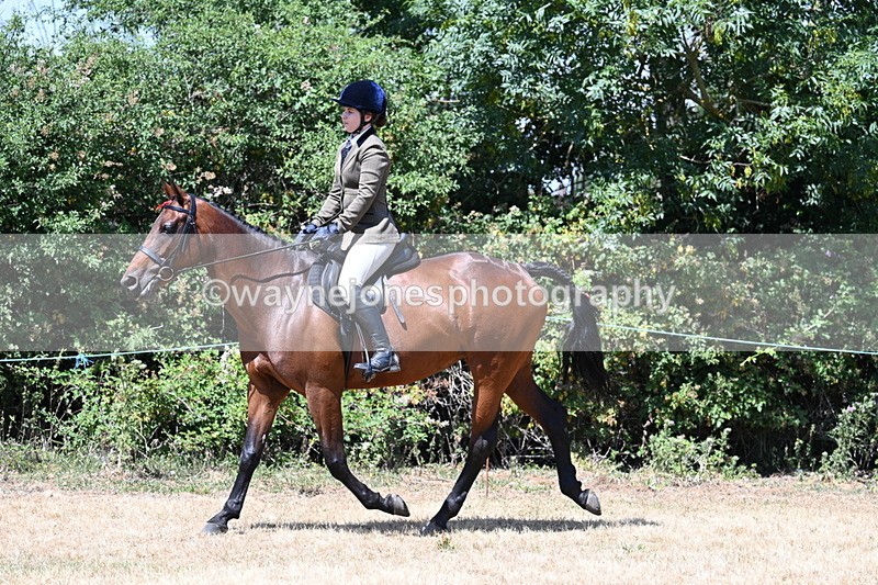 WJ7_2770 - Class 7 Riding Club Show Horse