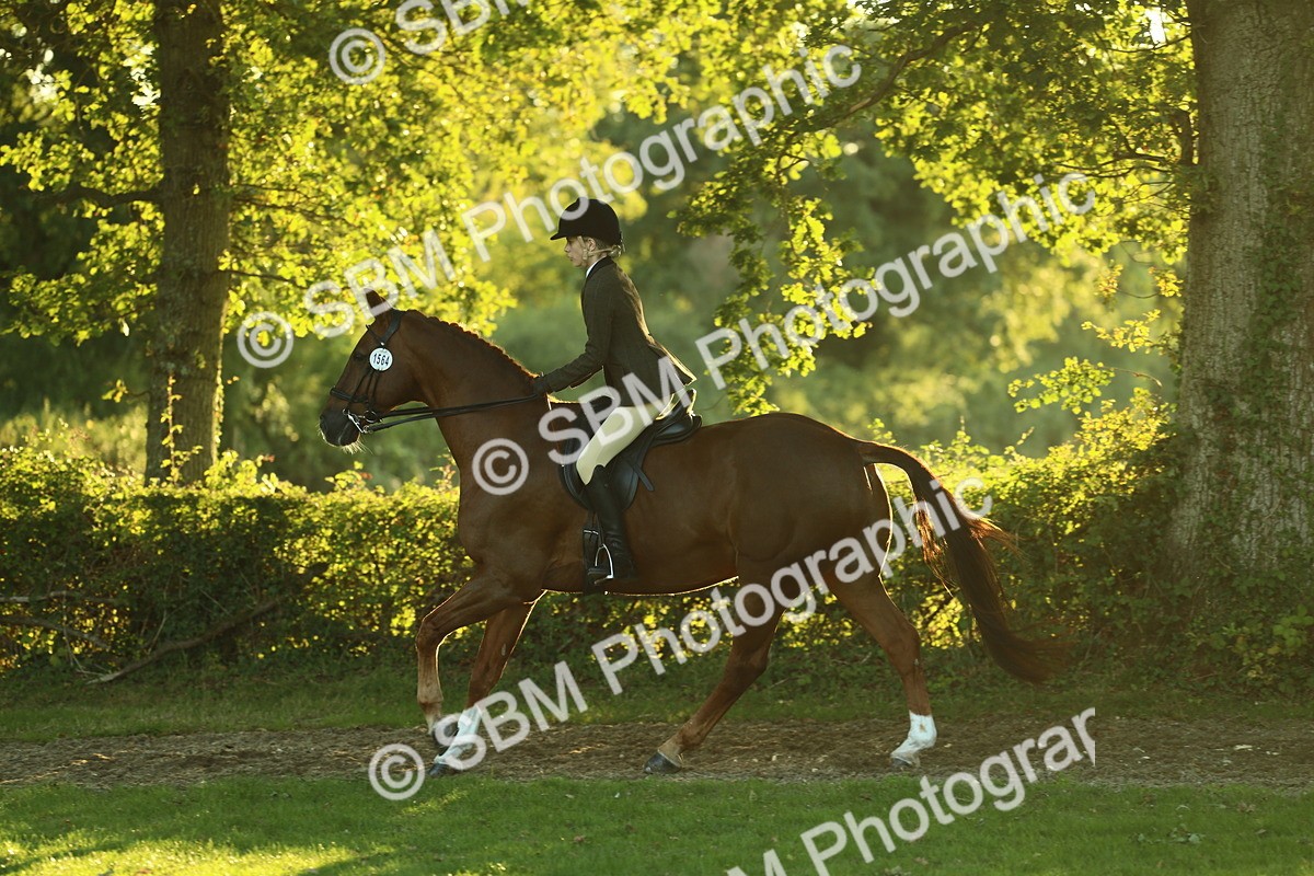 SBM_56461 - S14 - Riding Club Horse