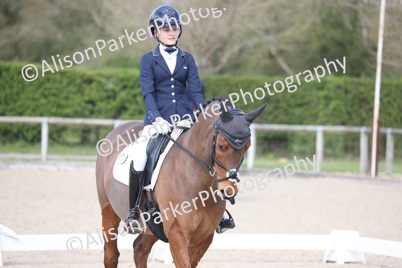 20260405-0907 - Pony FEI