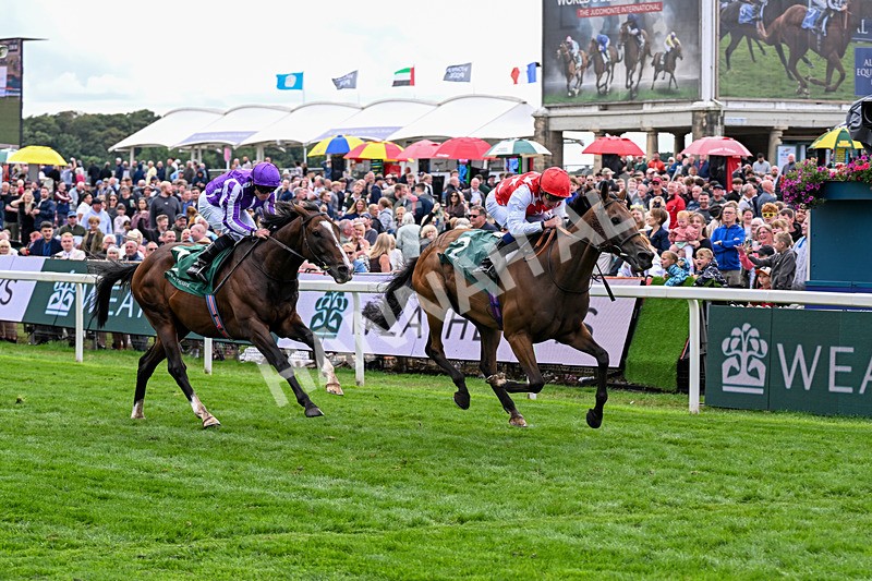 210826-Race 2-Al Nayyir-5414 - Race 2 14.25pm Weatherbys Lonsdale Cup Stakes