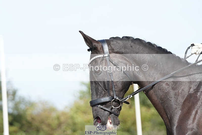 250906-115542-02062 - 034-Jasmine.SmithNigrasine.Rain