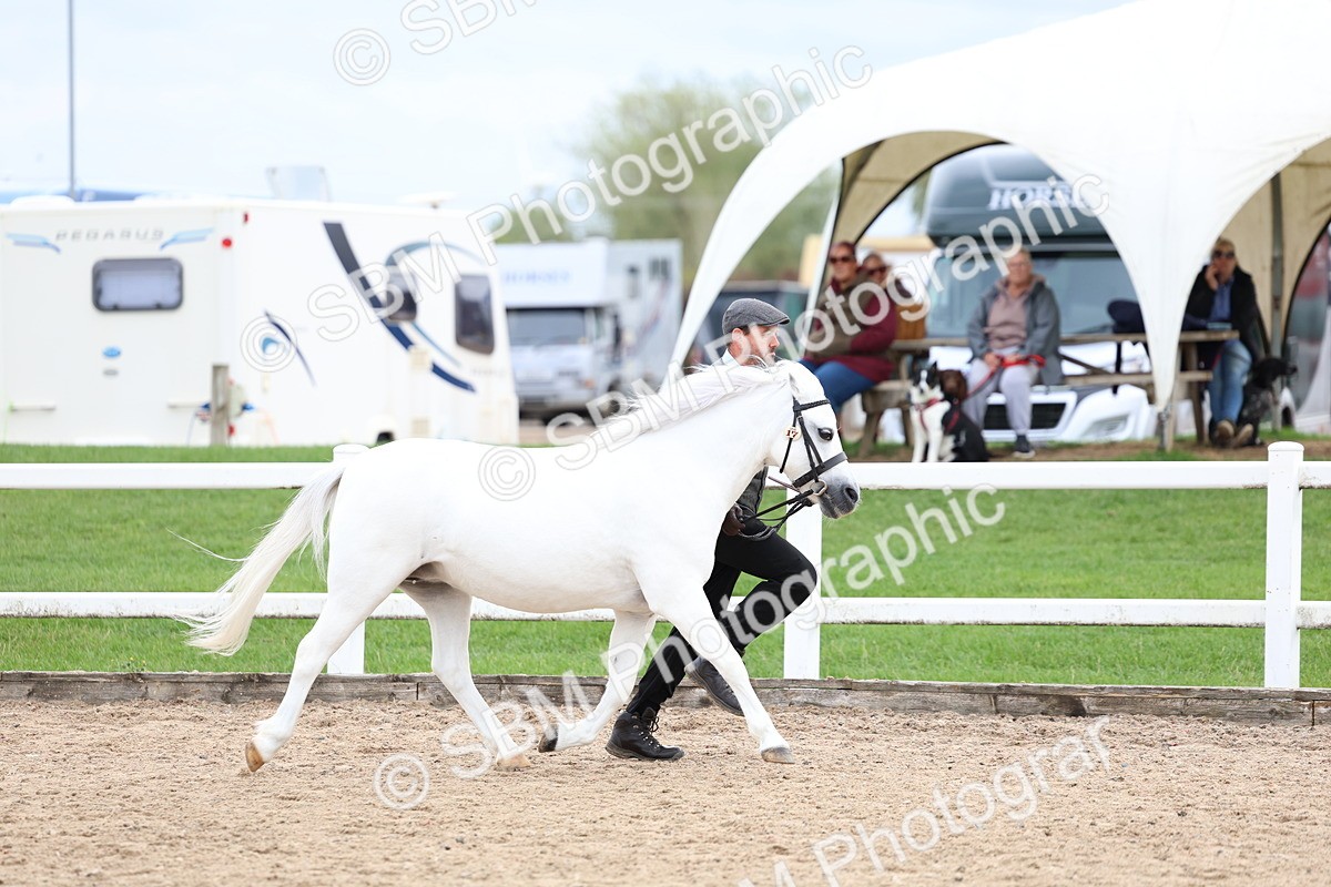SBM_05853 - Class 29 - IH Veteran Pony