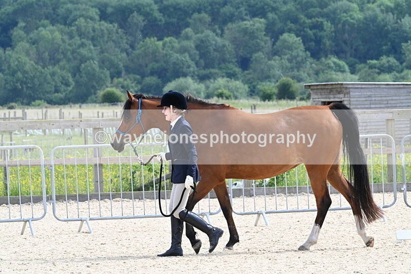 WJ7_8176 - Time 16:10 to 16:25