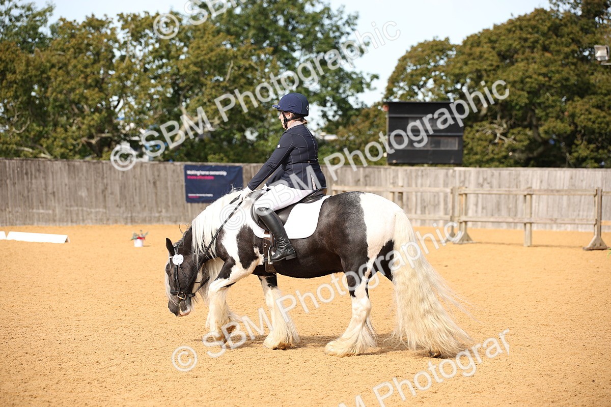 SBM_21773 - D5 - Small Tour Championship - Intro C