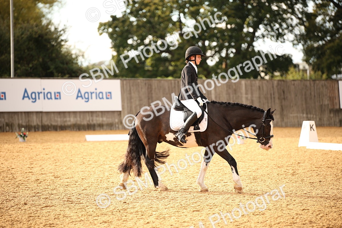 SBM_12415 - D3 Small  Tour Championship Intro A