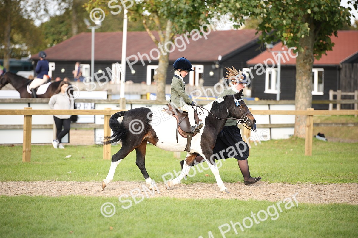 SBM_54259 - S27 - Mature Veteran - Ridden