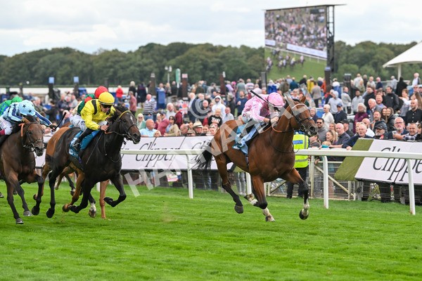 210825-Race 3-Bullet Point-4229 - Race 3 3.00pm Clipper Handicap