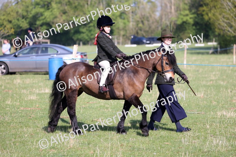 20250427-0081 - Class 30 - Tiny Tots Lead Rein