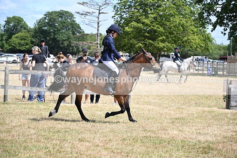 WJ6_5410 - Class 12 Minimus Jumping 45cm