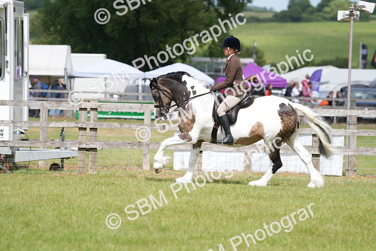 SBM_17230 - Class 107-108 - LIHS BSPS Performance Coloured Horse Pony